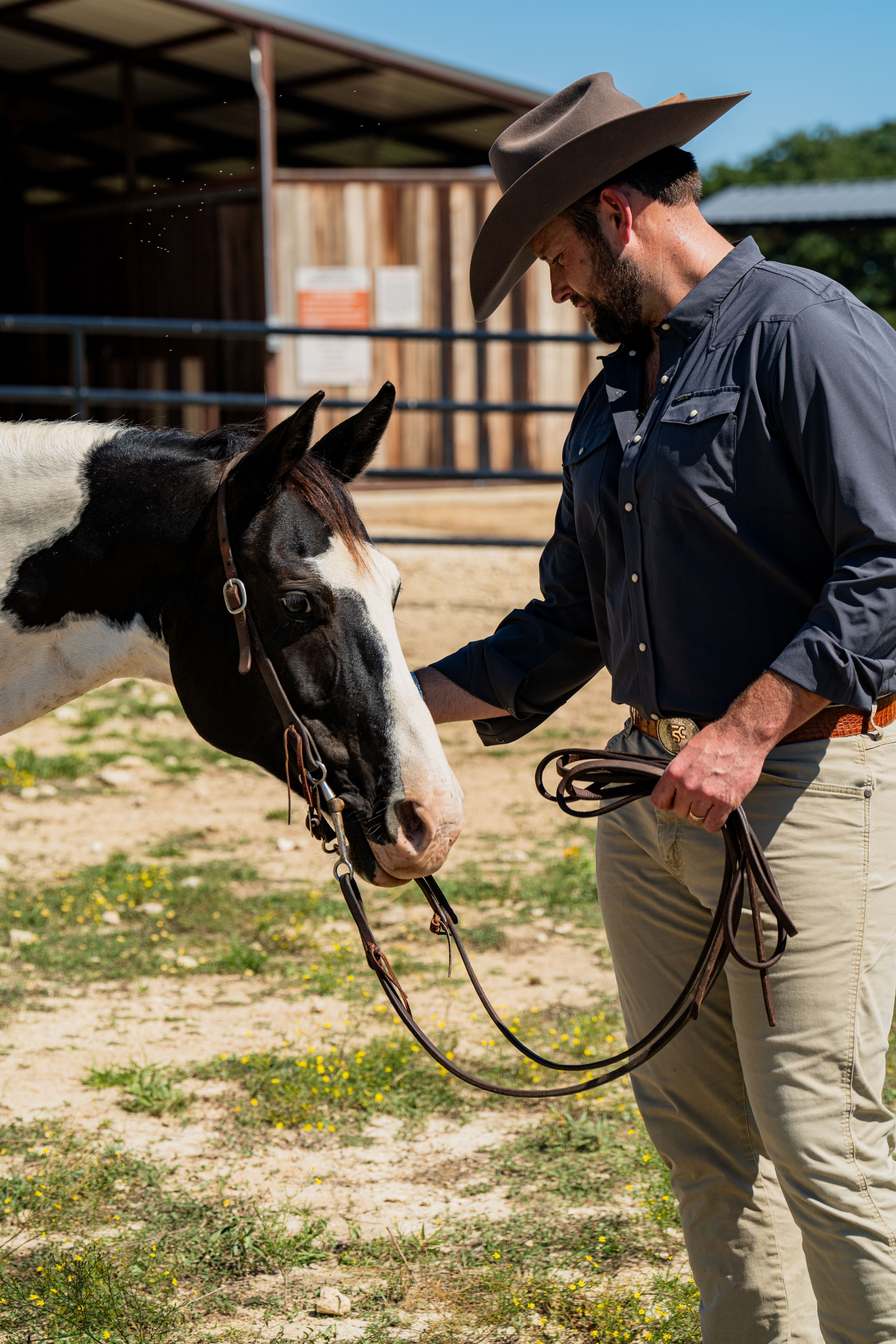 A single green leaf against a white background.