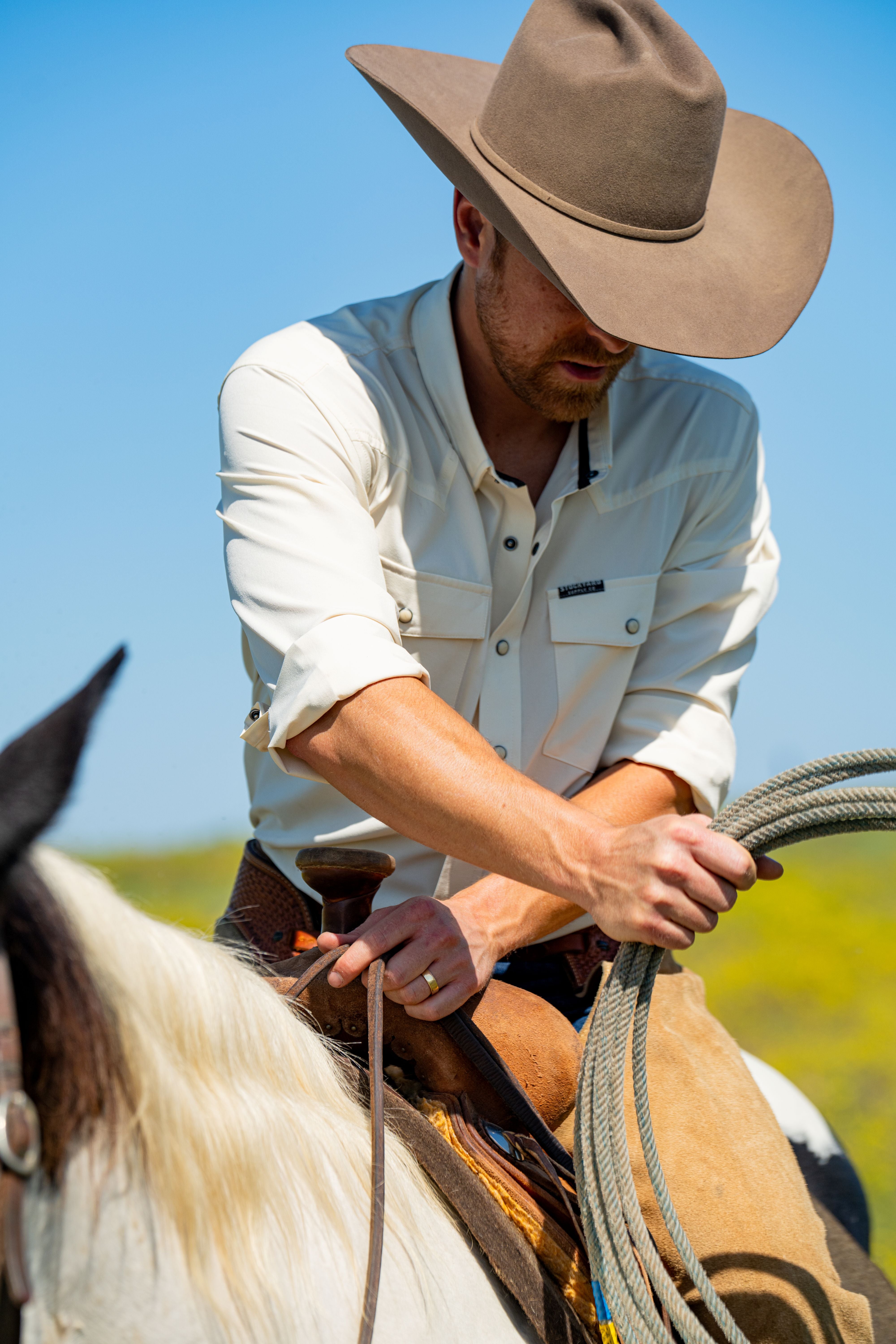 A single green leaf against a white background.