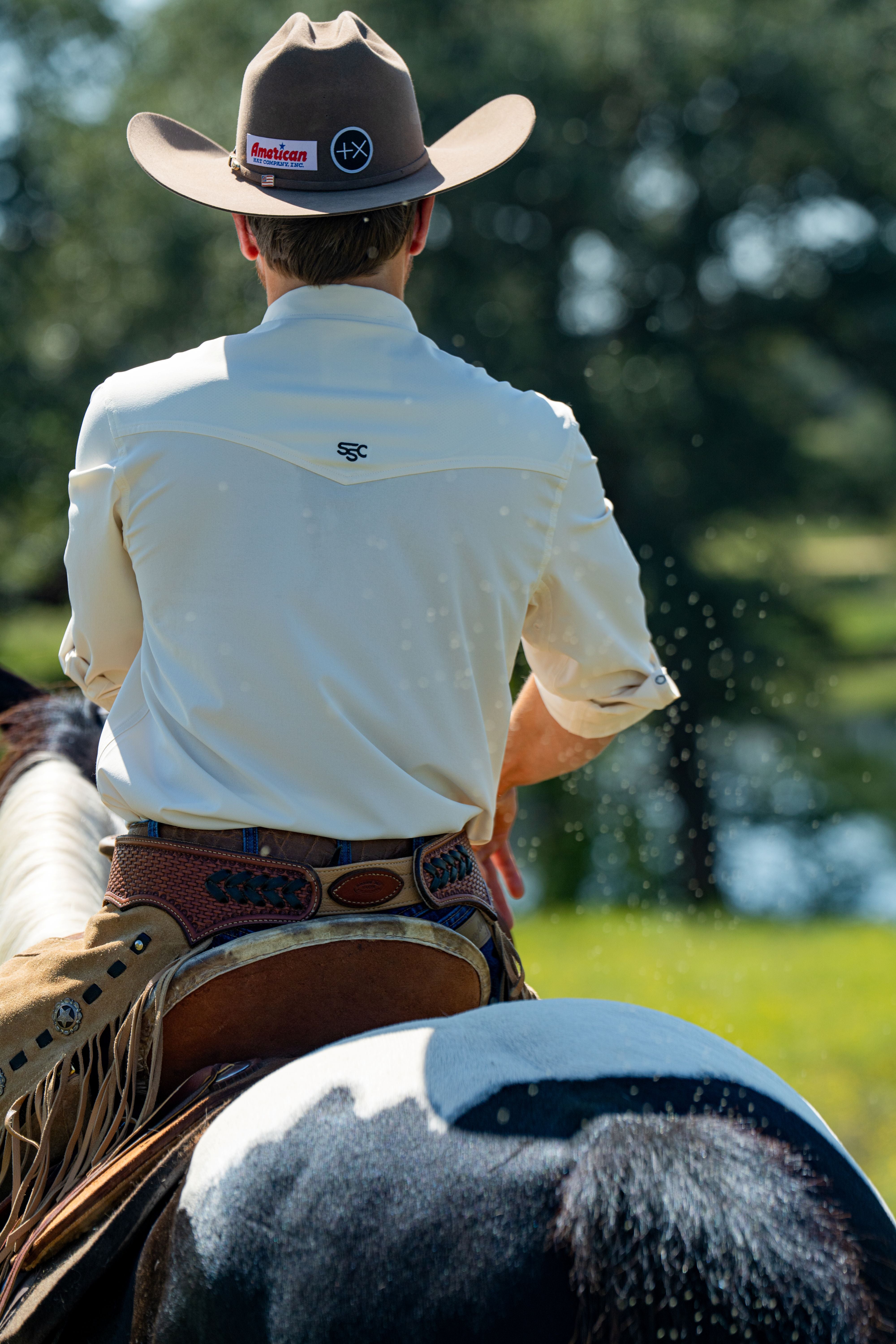 A single green leaf against a white background.