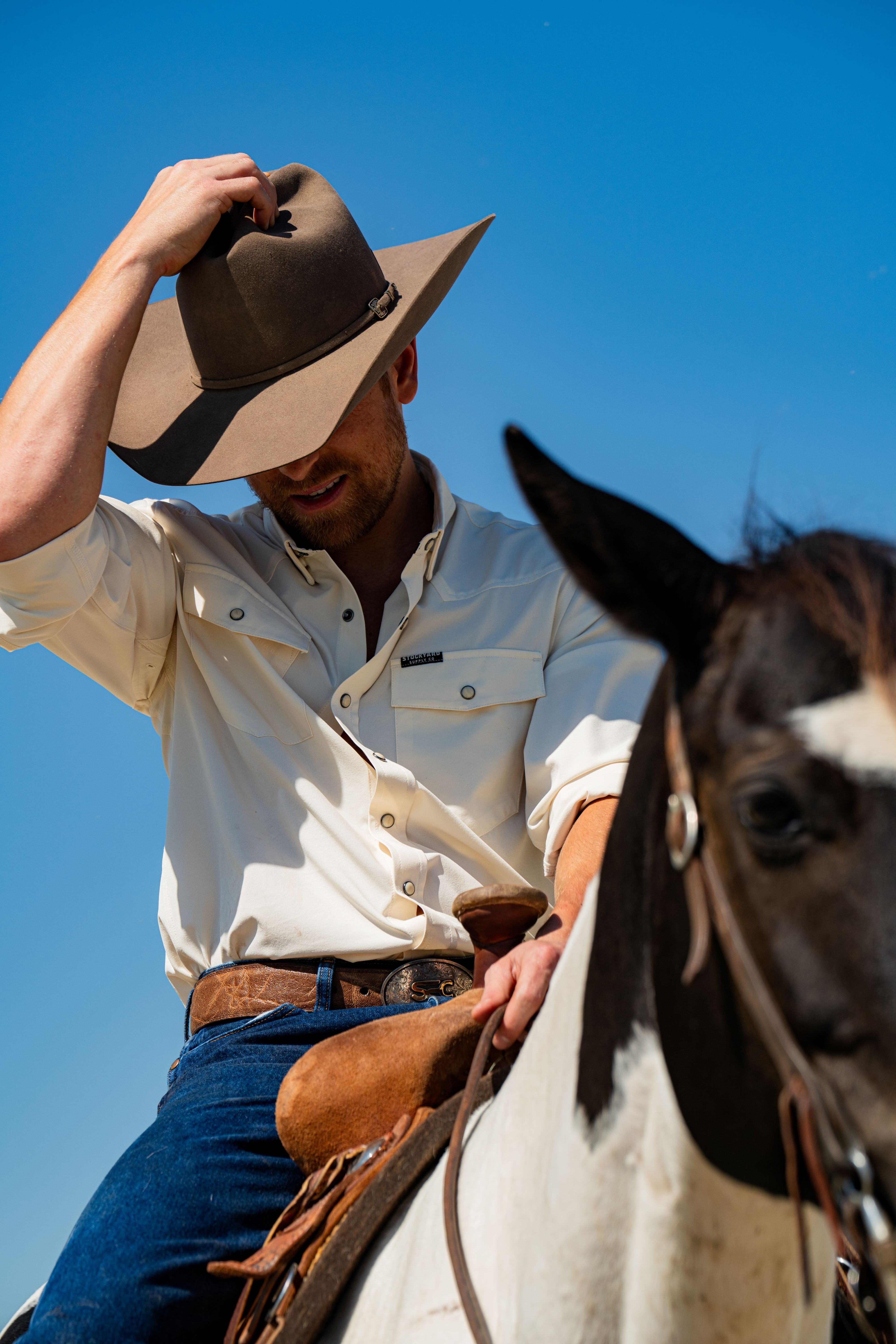 A single green leaf against a white background.