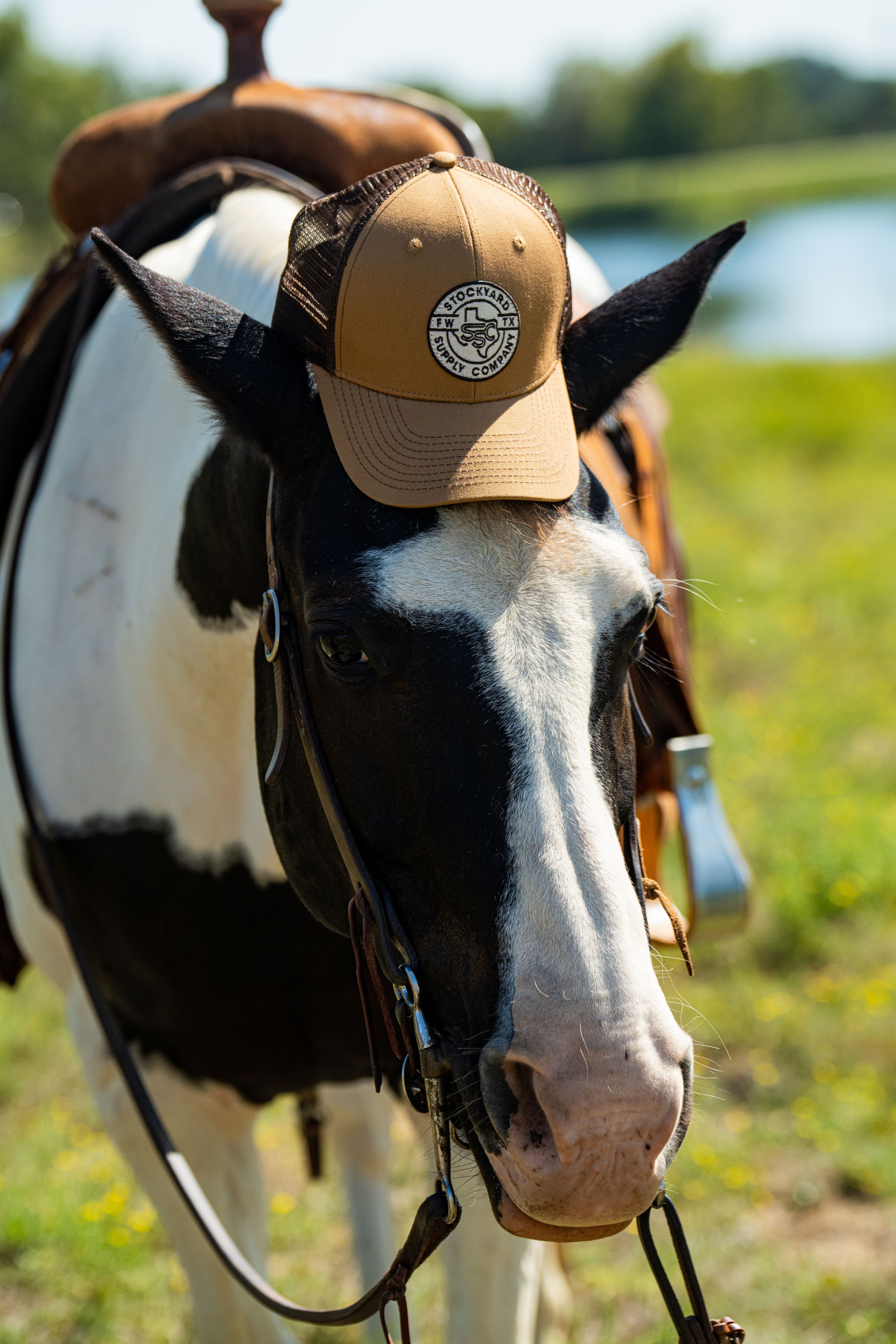A single green leaf against a white background.