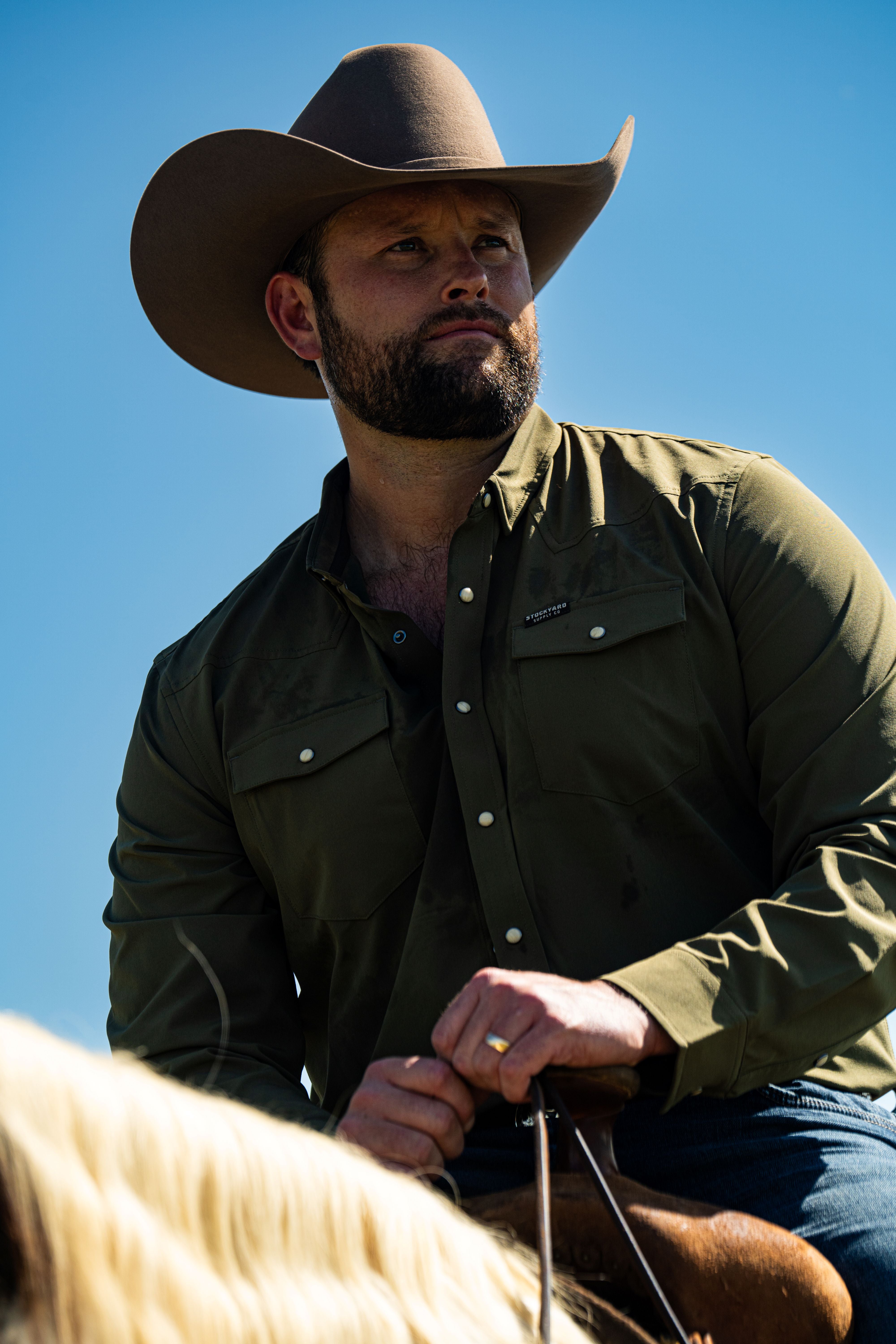 A single green leaf against a white background.