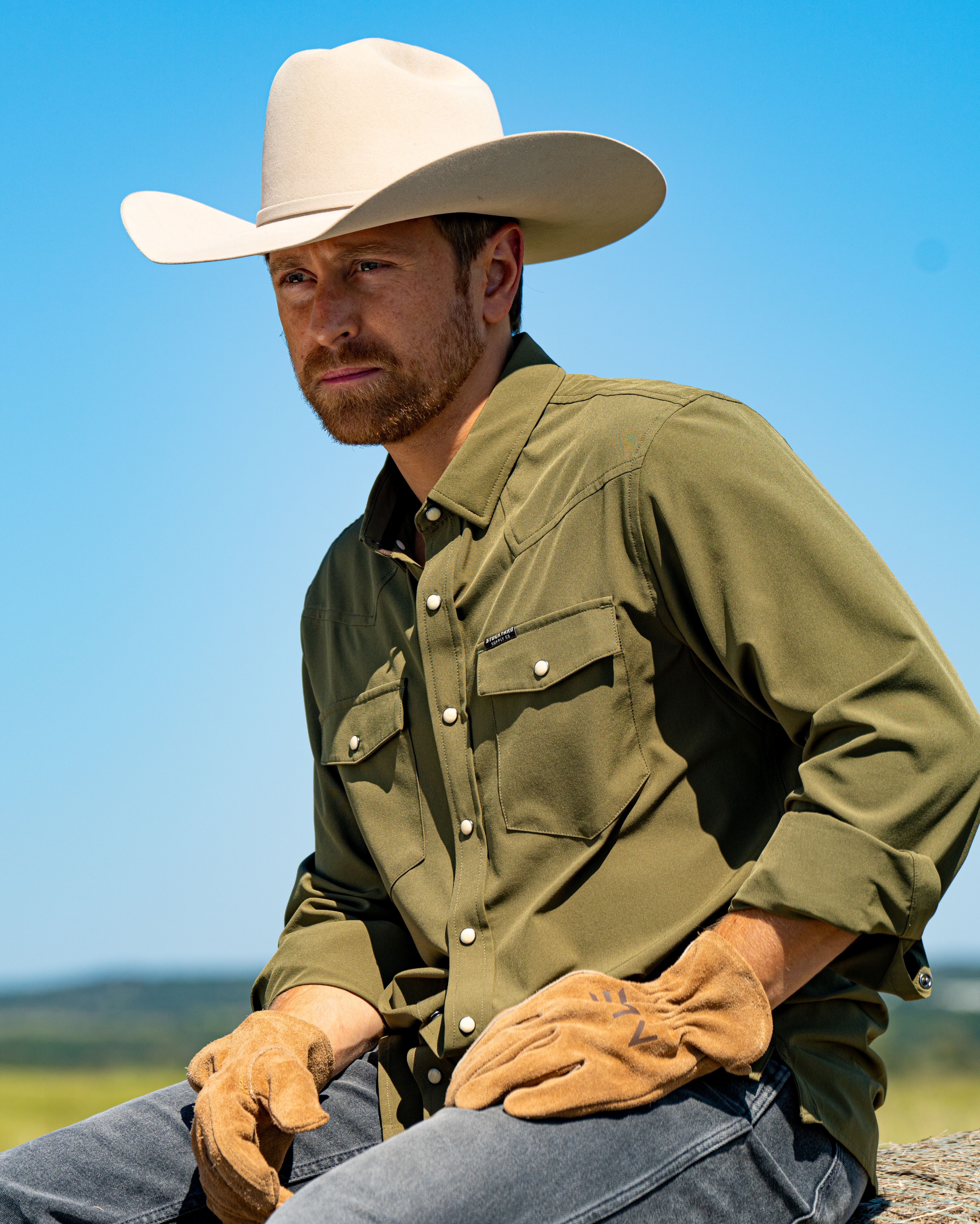 A single green leaf against a white background.