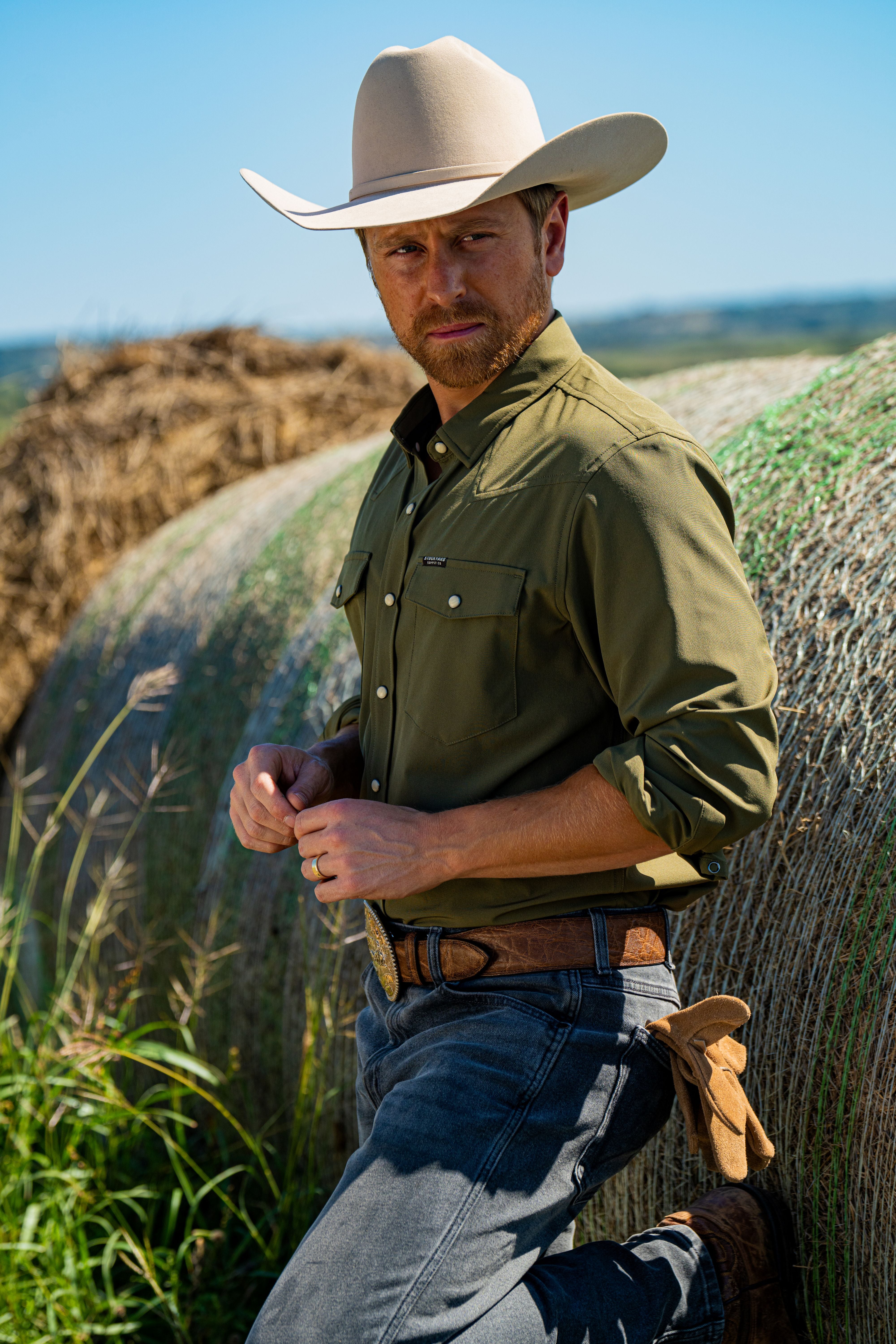 A single green leaf against a white background.