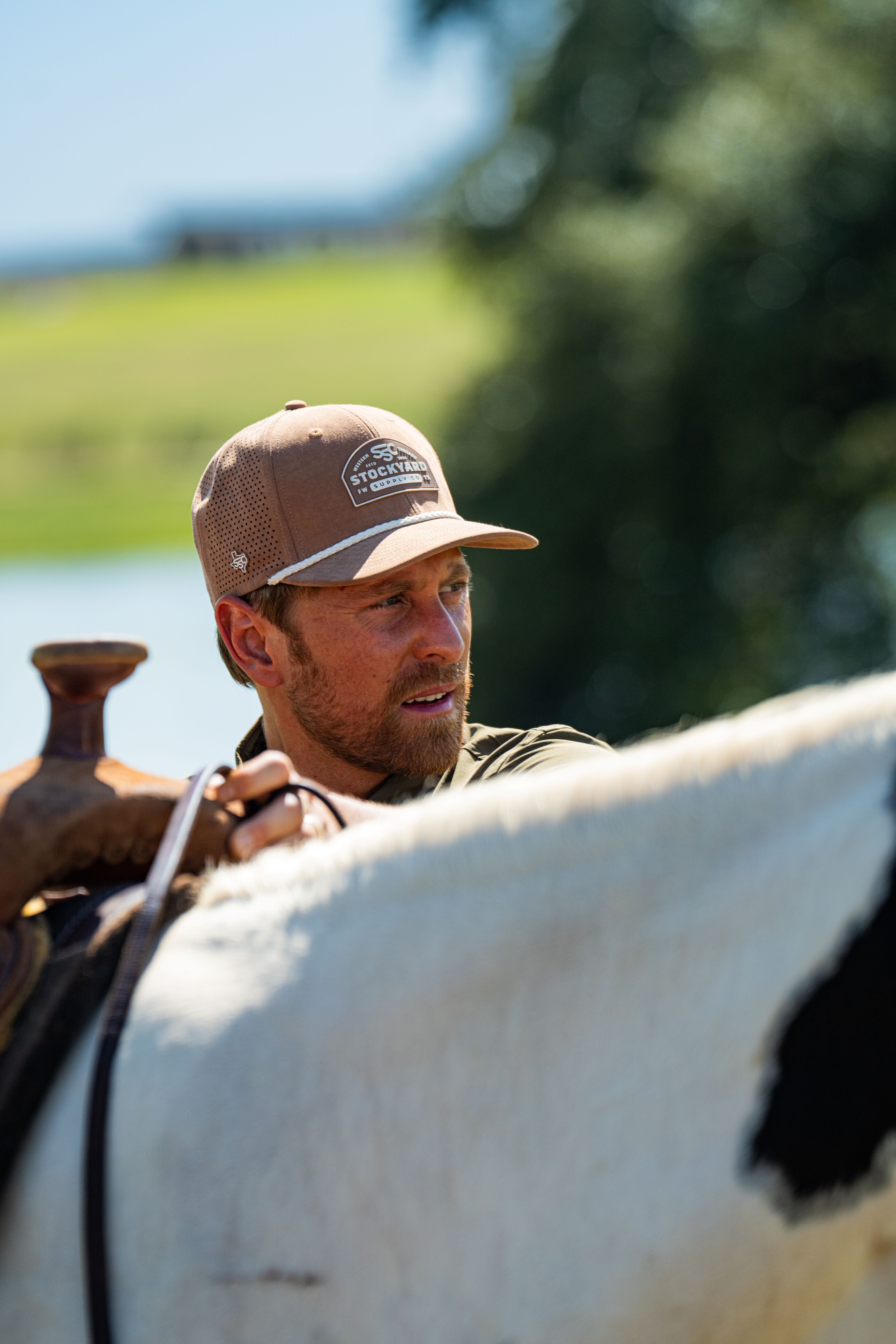 A single green leaf against a white background.