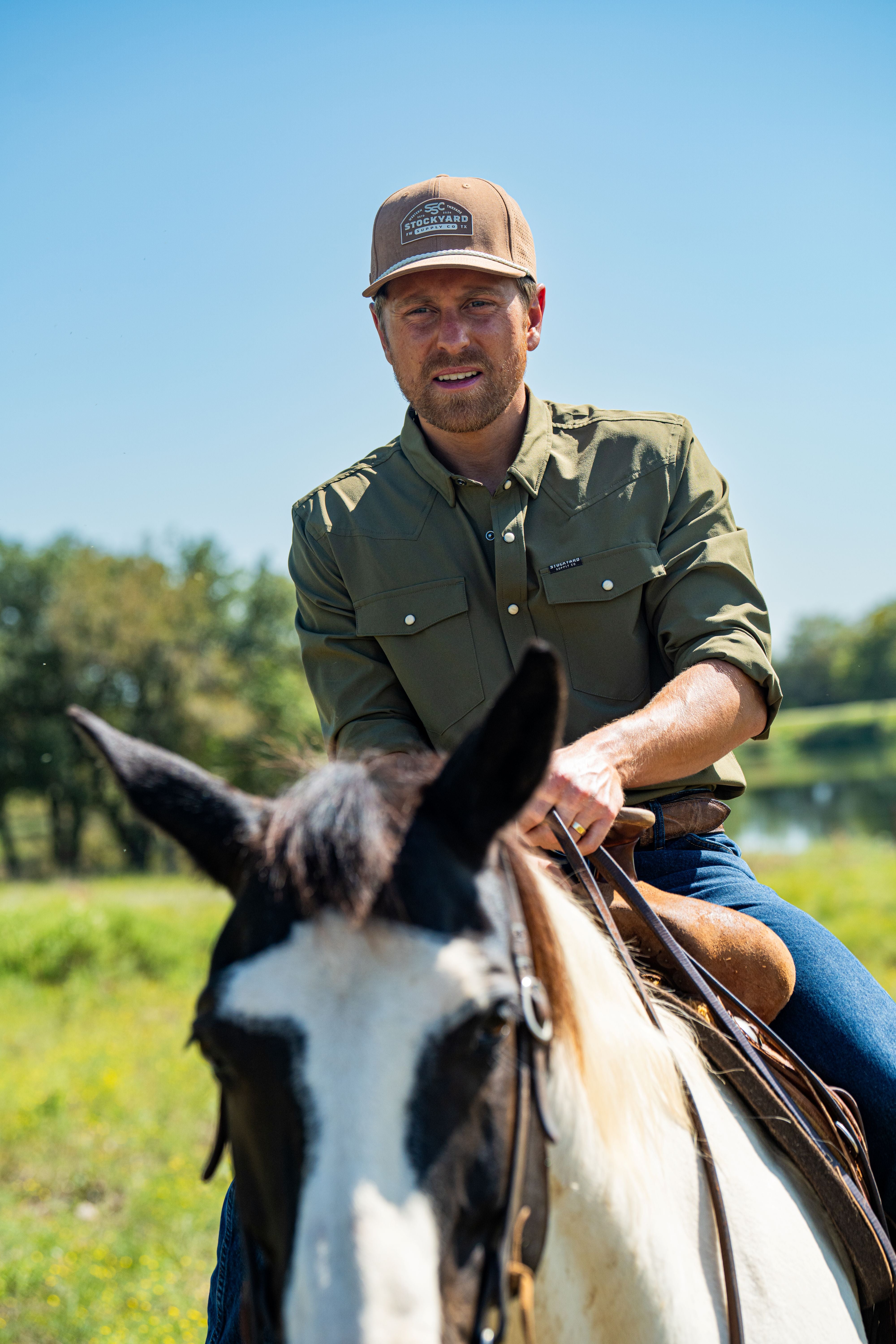 A single green leaf against a white background.