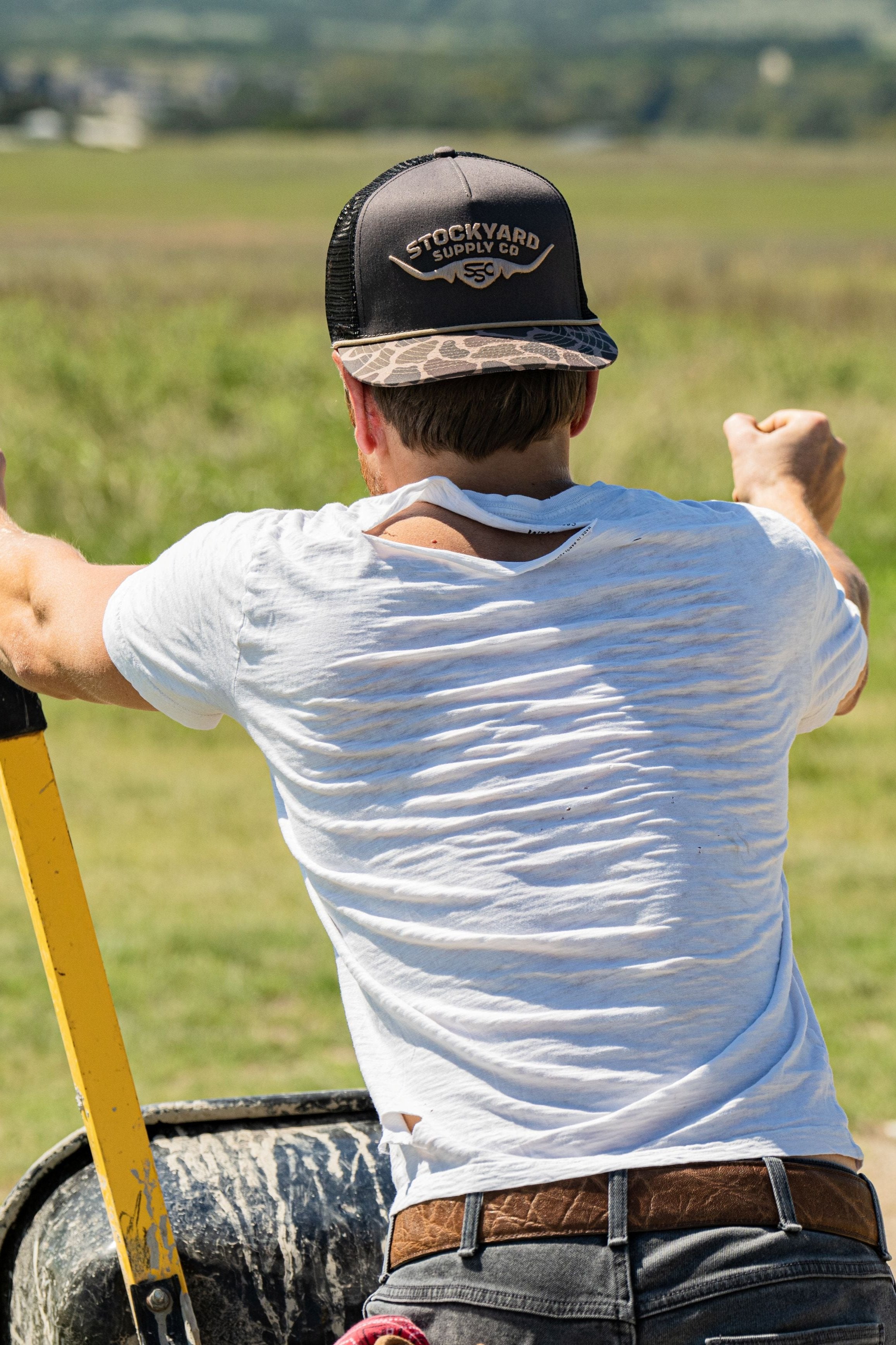 A single green leaf against a white background.