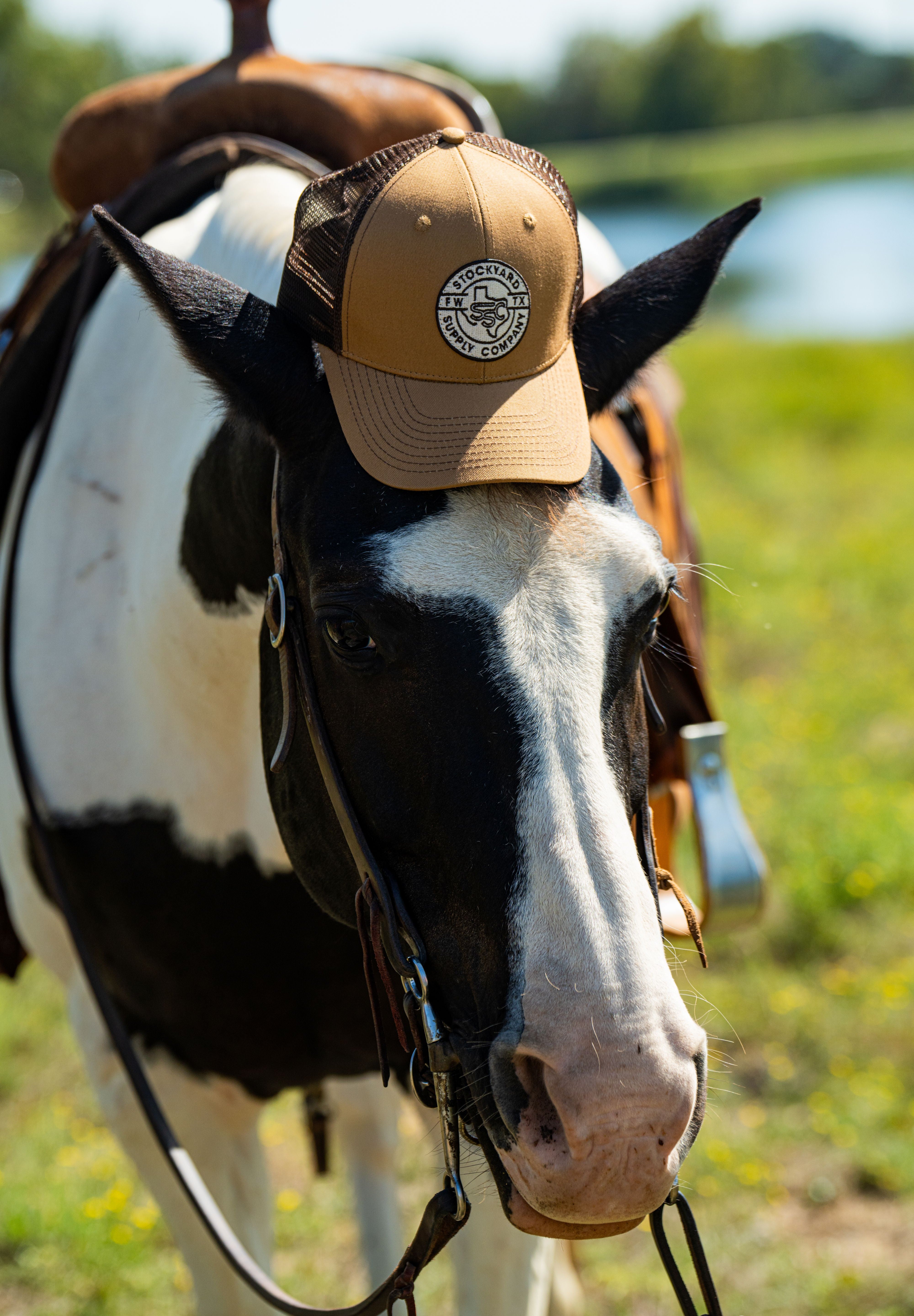 Horse with a saddle on it wearing the Everyday Jack Trucker Hat, Brown and Coyote colored. 